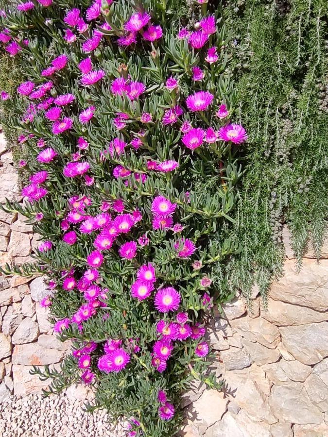 קרס Apartment Nona Keka מראה חיצוני תמונה